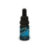 E LIQUID PURE CBG 500MG